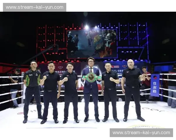 巅峰对决，雷霆万钧：2013总决赛，一场永不落幕的青春与巨星的碰撞